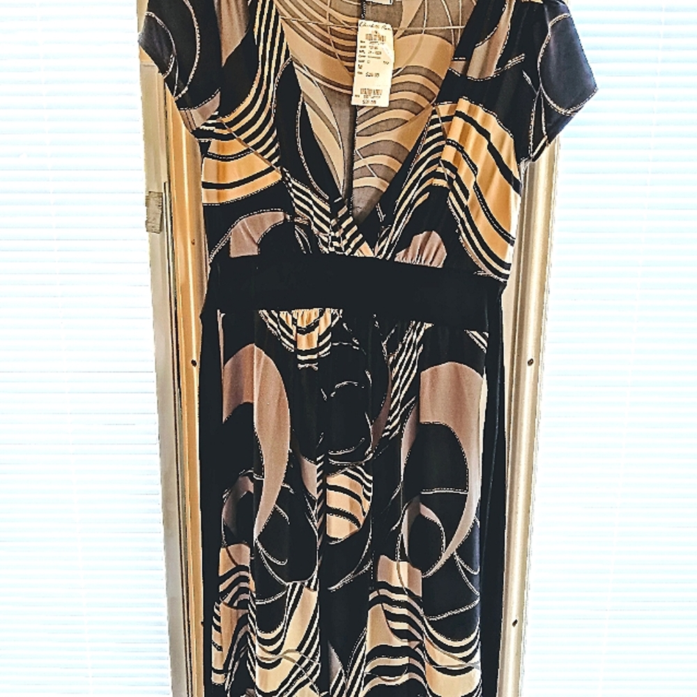 Charlotte Ruse Medium Dress